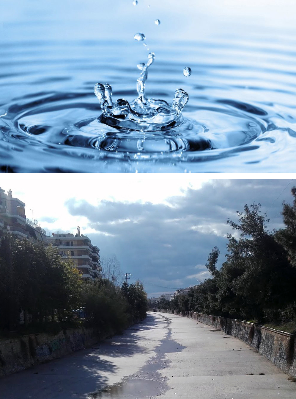 Εικόνα επιλογής